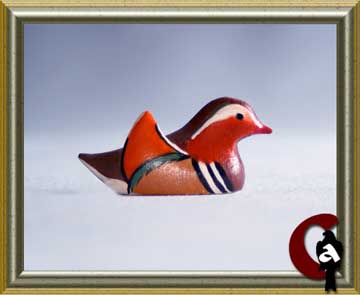 Mandarin duck - Aix galericulata